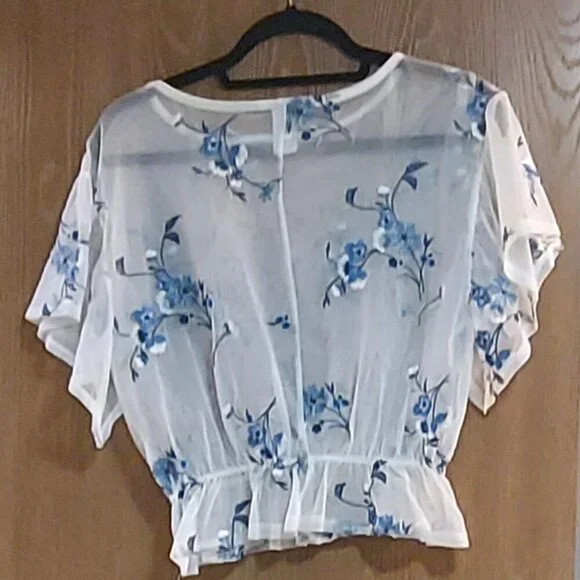 Kimcine Sheer Embroidered Top - Picture 2 of 5